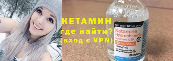 индика Нея