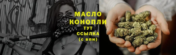 индика Нея