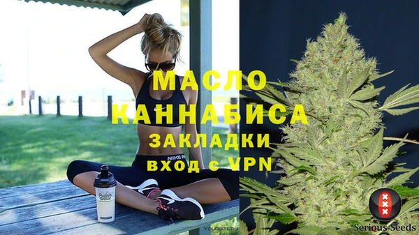 индика Нея