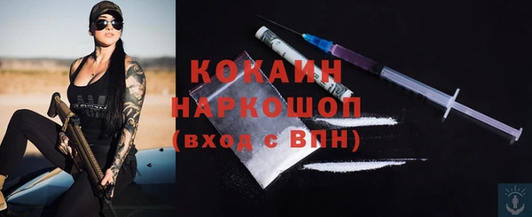 сатива Надым