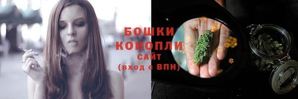 индика Нея