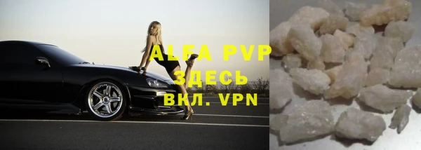 индика Нея