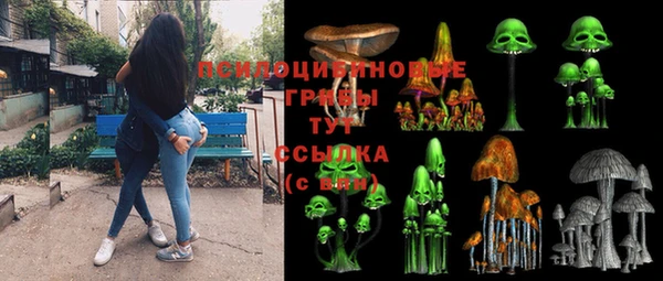 индика Нея