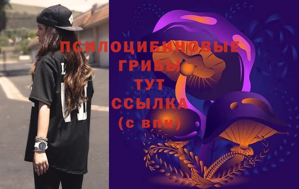 эйфоретик Нефтекумск