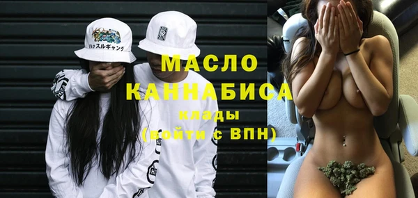 индика Нея