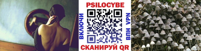 Псилоцибиновые грибы MAGIC MUSHROOMS Фролово
