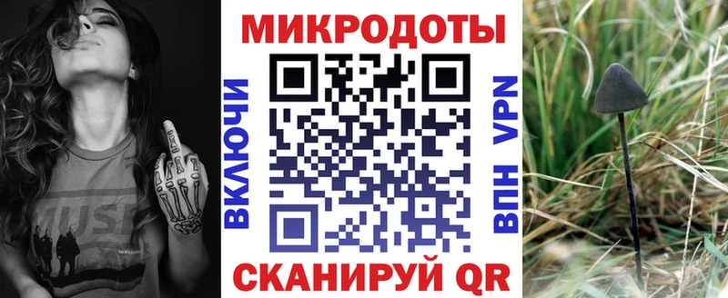 Псилоцибиновые грибы Psilocybine cubensis Фролово