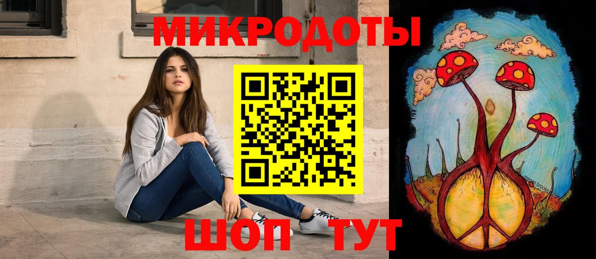 Псилоцибиновые грибы мицелий Фролово